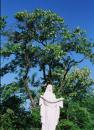 <p>Скульптура Божої матері «Покрова» у Пушкінському сквері.</p>