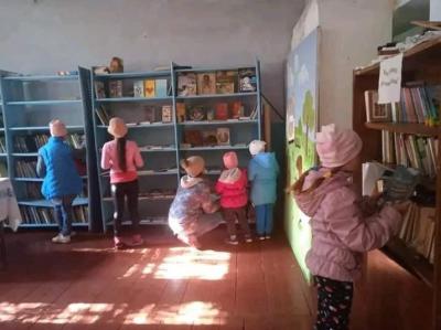Петропавлівська бібліотека Бериславського району до повномасштабного вторгнення