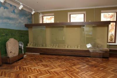 Розграбований стенд Херсонського краєзнавчого музею, присвячений кіммерійцям