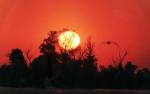 Схід сонця над плавнями (м.Херсон, лівий беріг Дніпра).